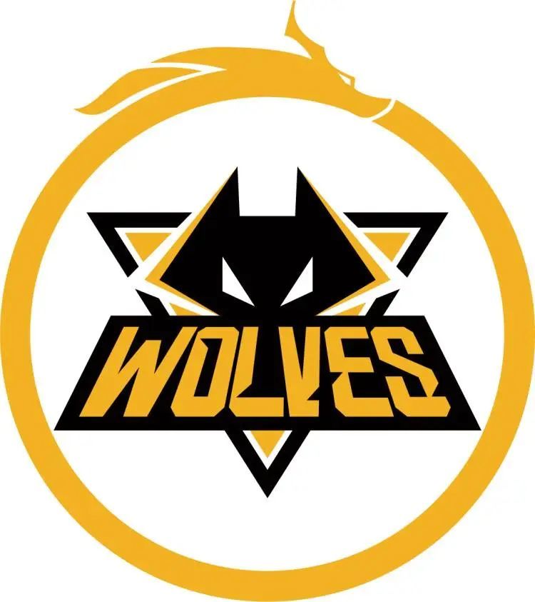 【视频】单杀对手反而亏了？看大神分析RNG为啥输给FPX